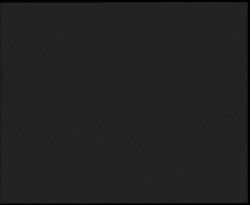 Nástup na běžecké tratě