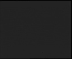 Nástup na běžecké tratě