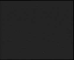 Nástup na běžecké tratě