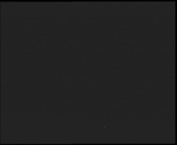 Nástup na běžecké tratě