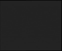 Nástup na běžecké tratě