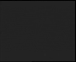 Nástup na běžecké tratě