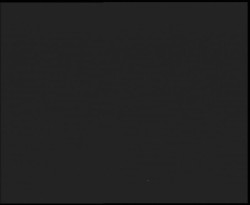 Nástup na běžecké tratě