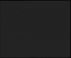 Nástup na běžecké tratě