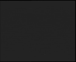 Nástup na běžecké tratě