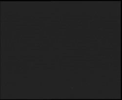 Nástup na běžecké tratě