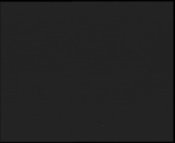 Nástup na běžecké tratě