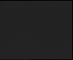 Nástup na běžecké tratě