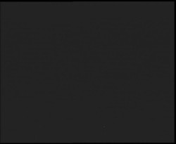 Nástup na běžecké tratě