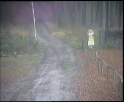 Nástup na běžecké tratě