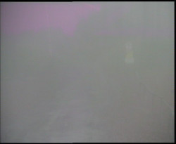 Nástup na běžecké tratě