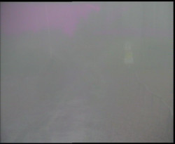 Nástup na běžecké tratě