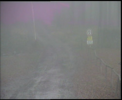 Nástup na běžecké tratě