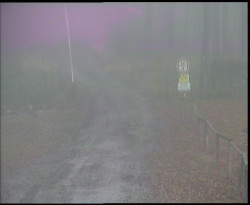 Nástup na běžecké tratě