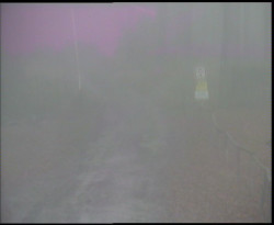 Nástup na běžecké tratě