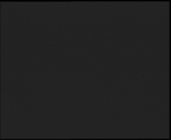 Nástup na běžecké tratě