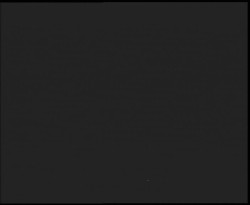 Nástup na běžecké tratě