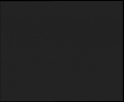 Nástup na běžecké tratě