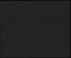 Nástup na běžecké tratě