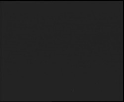 Nástup na běžecké tratě