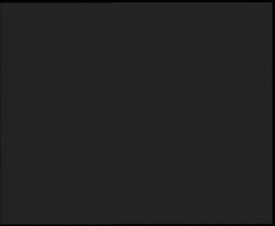 Nástup na běžecké tratě