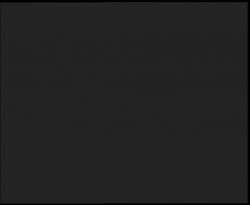 Nástup na běžecké tratě