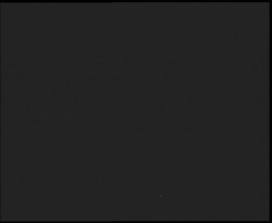 Nástup na běžecké tratě