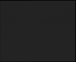 Nástup na běžecké tratě