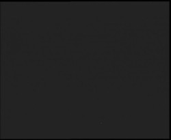 Nástup na běžecké tratě