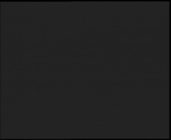 Nástup na běžecké tratě