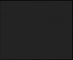 Nástup na běžecké tratě