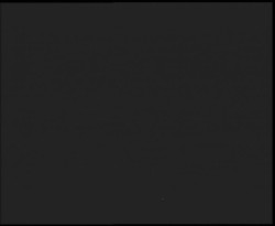 Nástup na běžecké tratě