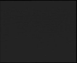 Nástup na běžecké tratě