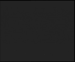 Nástup na běžecké tratě