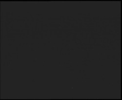 Nástup na běžecké tratě