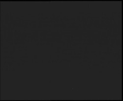 Nástup na běžecké tratě