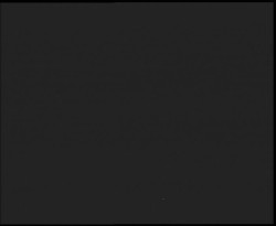 Nástup na běžecké tratě