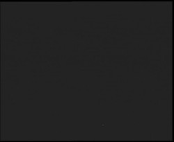 Nástup na běžecké tratě