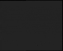 Nástup na běžecké tratě