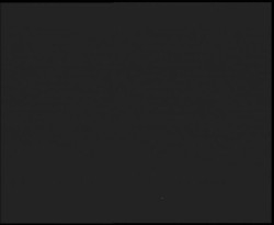 Nástup na běžecké tratě