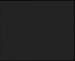 Nástup na běžecké tratě