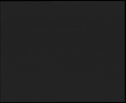 Nástup na běžecké tratě