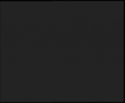 Nástup na běžecké tratě