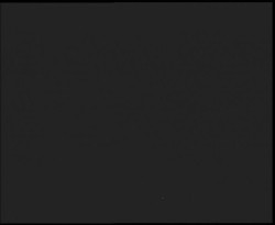 Nástup na běžecké tratě