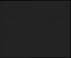 Nástup na běžecké tratě