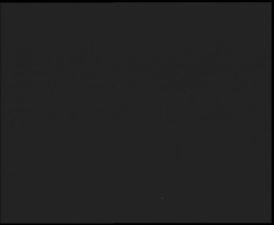 Nástup na běžecké tratě