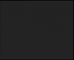 Nástup na běžecké tratě