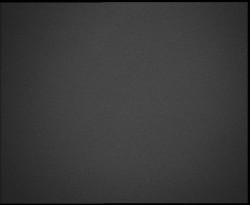 Nástup na běžecké tratě