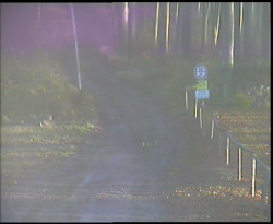 Nástup na běžecké tratě