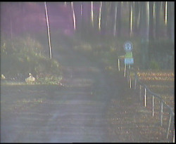 Nástup na běžecké tratě